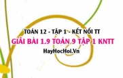 Bài 1.9 Toán 12 tập 1 SGK Kết nối tri thức